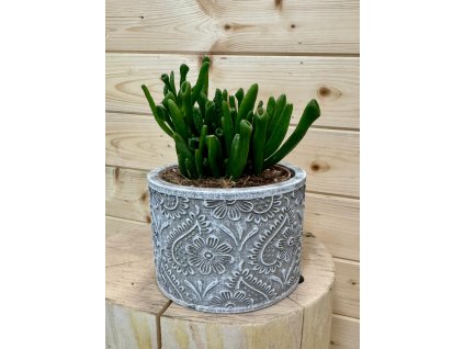 WhatsApp Image 2025 08 21 at 20.40.11