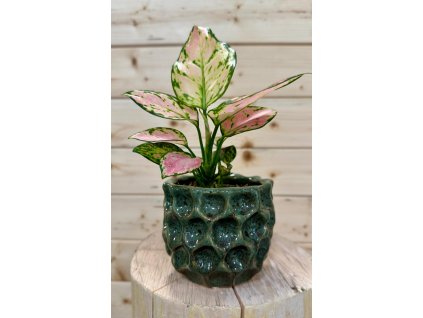 Květináč "Golfový míček" tmavě zelený