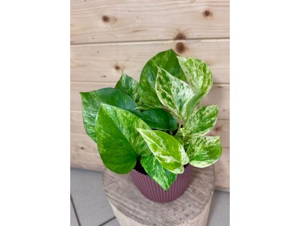 29fa887d 1d02 4fb0 85c6 c835141b3a1d