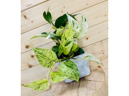 WhatsApp Image 2025 09 02 at 16.25.29