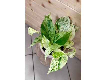 WhatsApp Image 2025 12 09 at 19.48.50