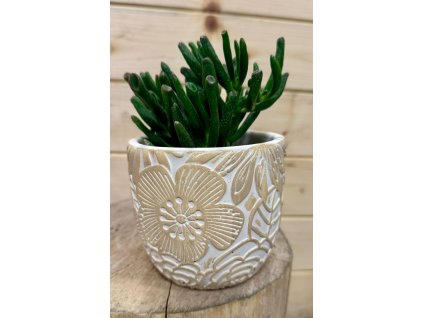 WhatsApp Image 2025 09 24 at 19.24.10 (1)