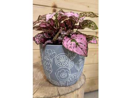 WhatsApp Image 2025 09 24 at 19.25.27