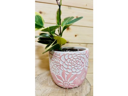 WhatsApp Image 2025 09 24 at 19.25.28