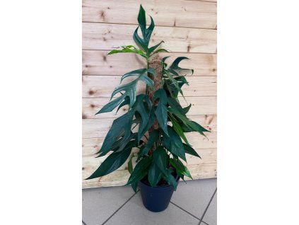 a9b35e5e 07a8 4717 8098 e99bbf7763be