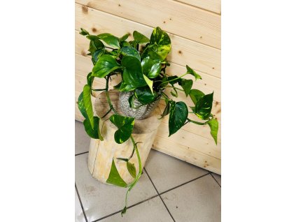 WhatsApp Image 2025 10 26 at 09.36.32 (1)