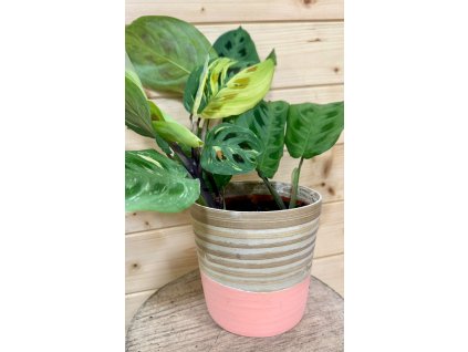 WhatsApp Image 2025 10 28 at 17.27.33