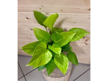 WhatsApp Image 2025 12 09 at 19.28.05