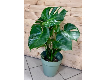 WhatsApp Image 2026 01 08 at 18.54.28