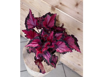 WhatsApp Image 2025 12 31 at 16.36.06