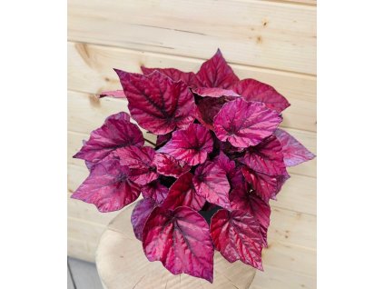 WhatsApp Image 2025 12 31 at 16.37.38