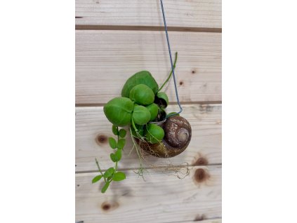 WhatsApp Image 2026 01 22 at 06.43.47