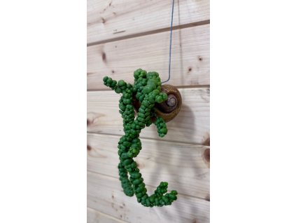 WhatsApp Image 2026 01 22 at 06.47.06