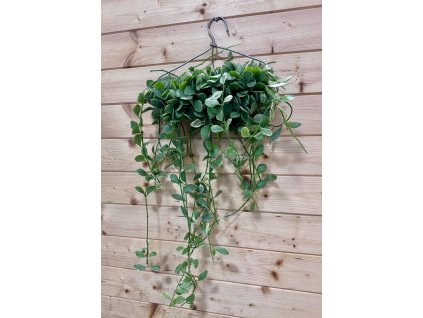 e8c7af15 d45a 4cfc a870 496dad21d89c