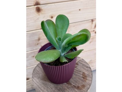 2a729d3f cabd 4cc9 a9de f8f9c4189d89