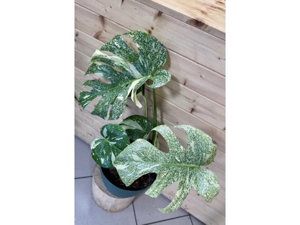 ebc54fab 781b 4bd0 b0b2 b1a40eaf8e58