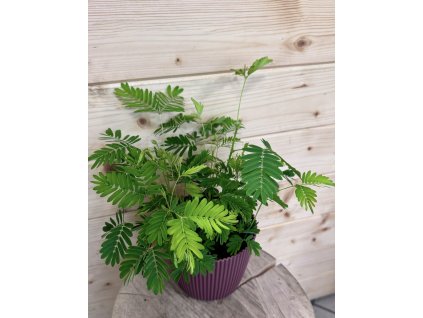 c0d960df 9d2a 470a ac1f eb36d2135c20