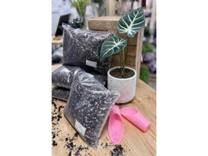 ChatGPT Image 12. 3. 2026 08 10 22