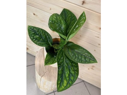 f1ff163f 5e4f 47c2 a281 cb8fc26ba0ae