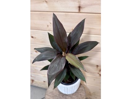 41068236 24aa 45e4 9989 77d80fbfbff6