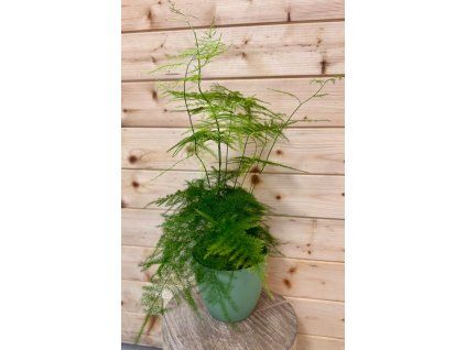 55111ff2 ac70 4f1c a36f 00affc2da24b