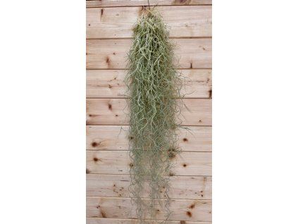 cd8ff3a9 ad48 4da7 89cc 4be633dce9f9