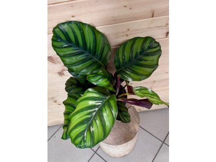 d7b9fab6 9daf 4b37 bf51 541aa7f3eb21