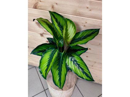 ad2db1fb 9e7b 4f4f befb e273aa6bc387