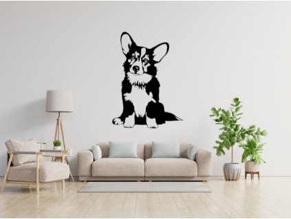 Corgi