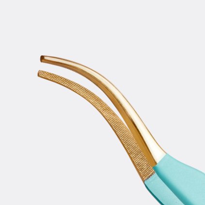 obrázek 2024 10 02 224641143