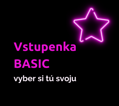 Vstupenka Basic