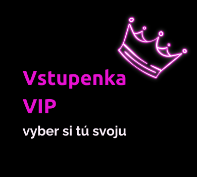 Vstupenka VIP