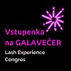Vstupenka Bna galavečer