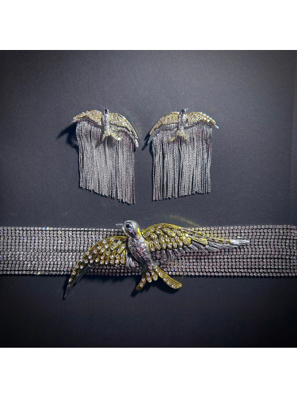 Bird, Fringe & Rhinestone Chain – Šperkový set náhrdelníku a náušnic
