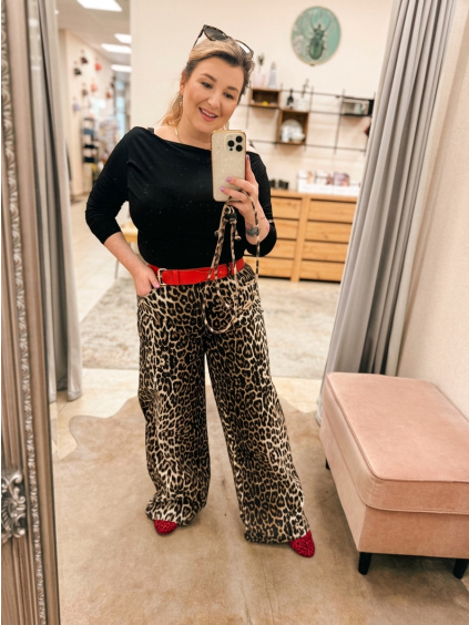 downloaded file (51)