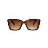 SLUNEČNÍ BRÝLE ELBA CLASSIC HAVANA