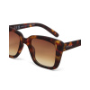 SLUNEČNÍ BRÝLE ELBA CLASSIC HAVANA