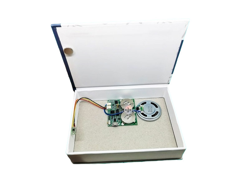 LaskaKit-my-h1650-mp3-modul-pro-darky-a-prani-ex