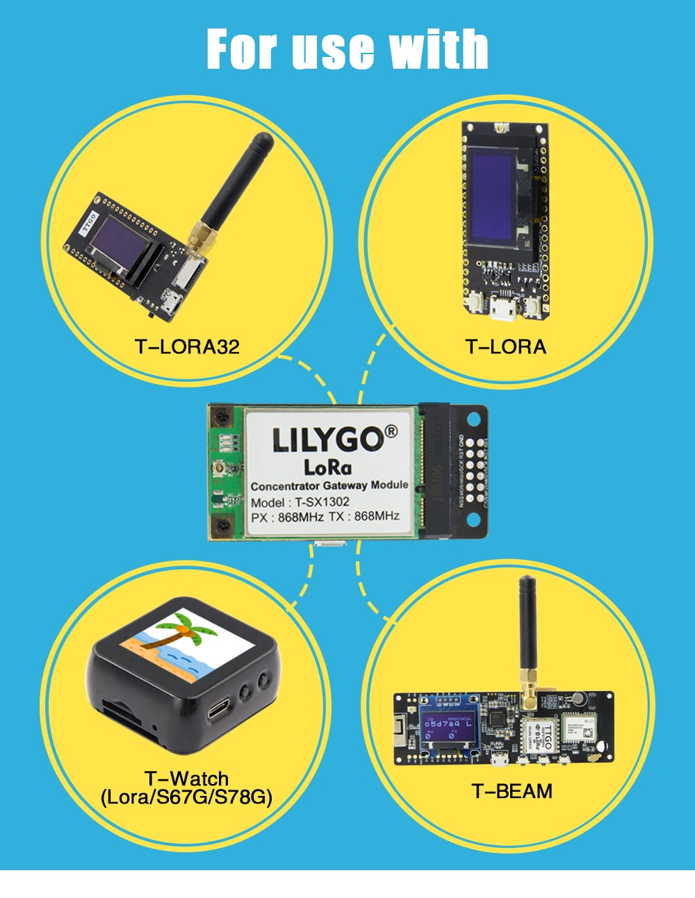 lilygo-loro-concentrator