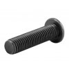 7755 1 sroub s pulkulatou hlavou na imbus m5x8mm cerneno
