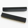 Dupont 2x20Pin 2,54 mm pinový pás, samice