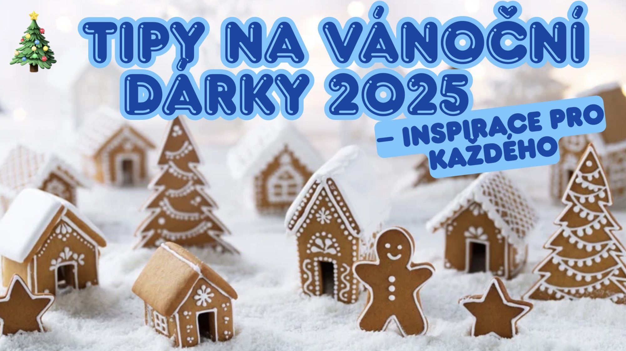Tipy na vánoční dárky 2025 – Inspirace pro každého