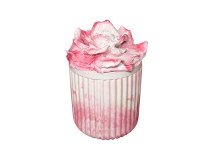 Photoroom 20260317 184553