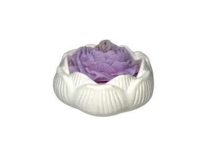 Photoroom 20260317 180707