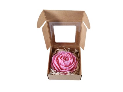 Photoroom 20251004 233422