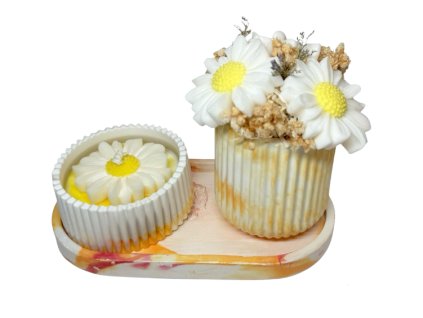 Photoroom 20260207 150227