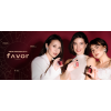 FAVOR Lip Pigment Set