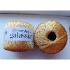Galassia