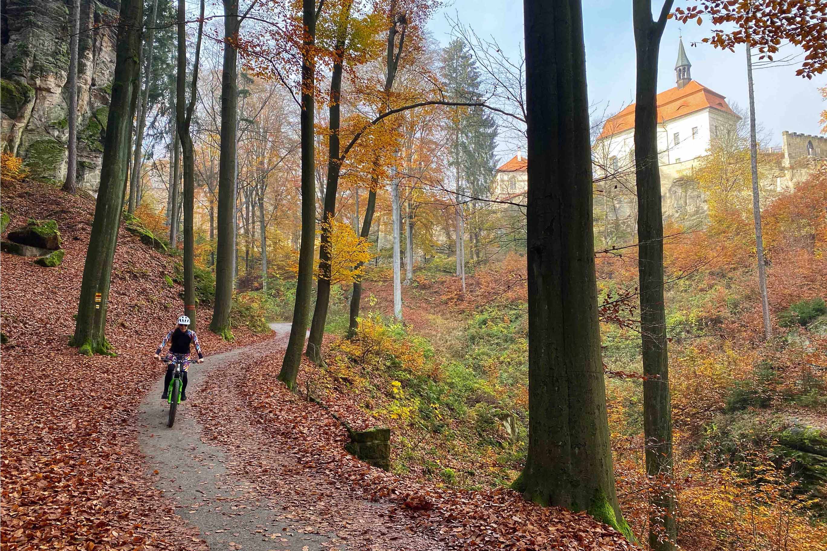 Mlhavý Český ráj