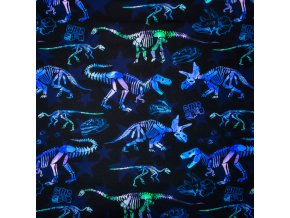 Teplákovina potisk  dinosauři | modrá